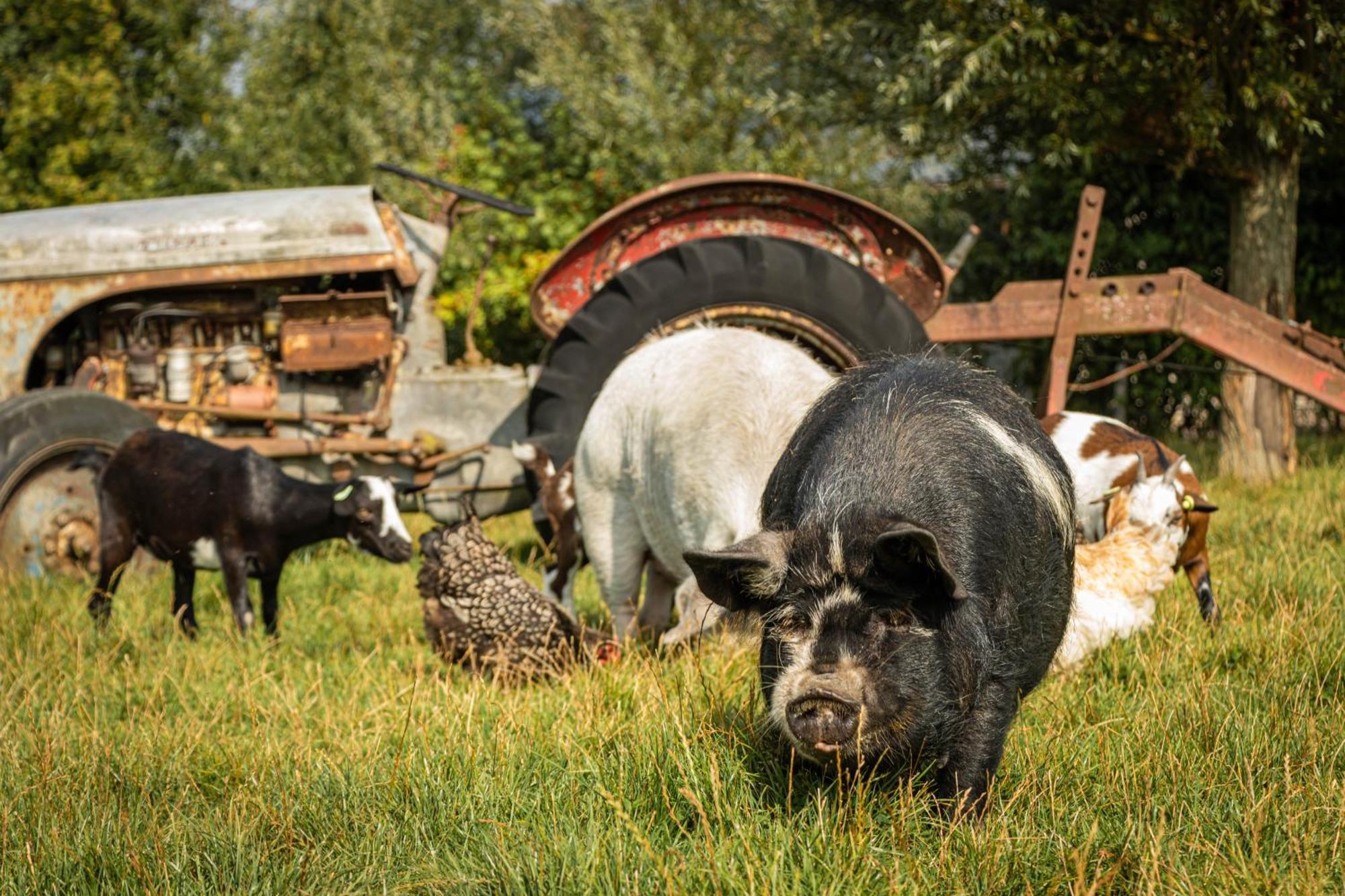 Landgoed Versteegh Nabij Heerlijkheid Marienwaerdt Beesd Exterior foto